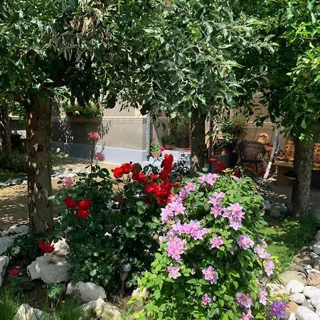 Holiday home Casa Lui Mosu