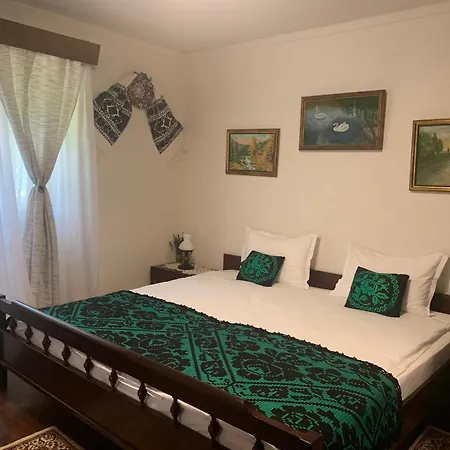 Casa Lui Mosu Alba Iulia