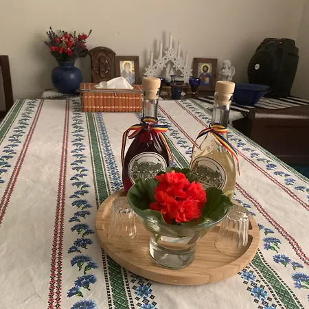 Casa Lui Mosu *