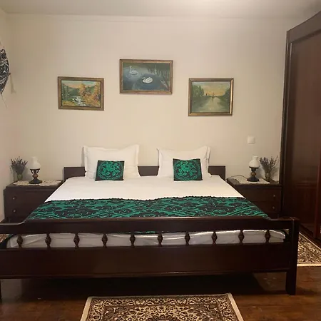 Casa Lui Mosu Alba Iulia