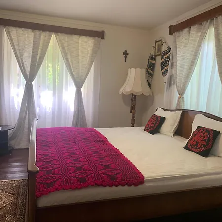 Casa Lui Mosu Holiday home