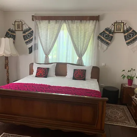 Casa Lui Mosu Alba Iulia