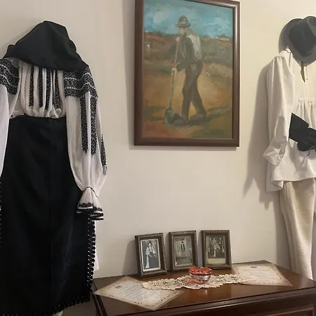 Casa Lui Mosu *
